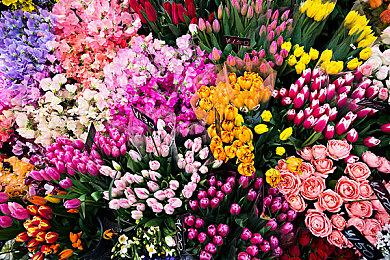 3D平台游戏《地狱派》发售 Steam国区售价80元