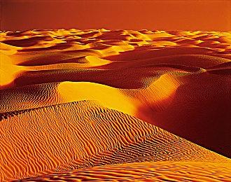 雪崩开发的Xbox独占《Contrabad》 开发团队超150人