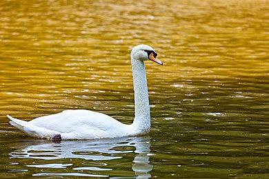 不知不觉 《GTA6》首支预告观看量已超2.5亿